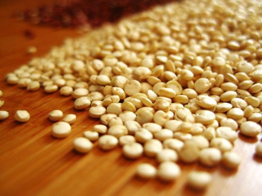 Hạt Quinoa tăng kích thước vòng 3