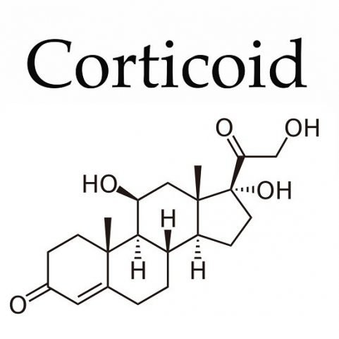 Da nhiễm corticoid & Cách phục hồi trước khi quá muộn