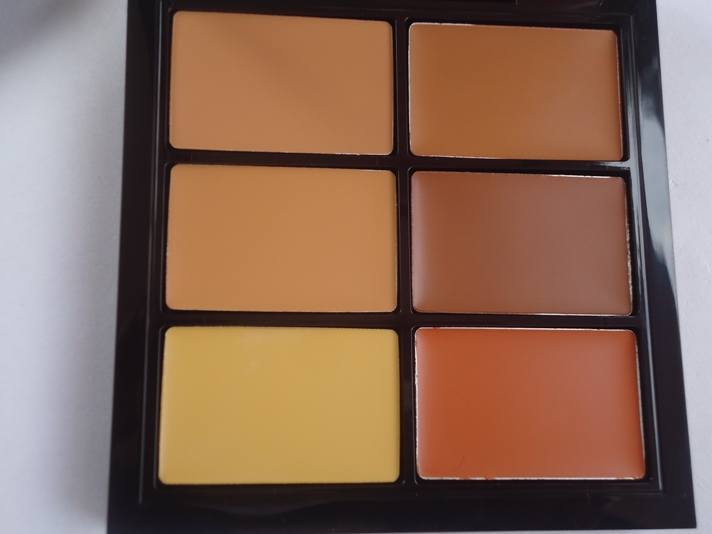 MAC Pro Conceal and Correct Palette 12