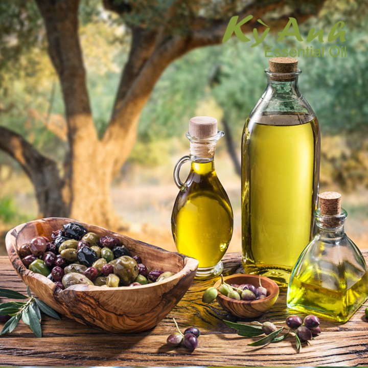 Kết quả hình ảnh cho olive oil