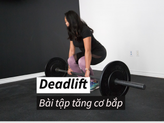 Deadlift là gì? Cách thực hiện Deadlift đúng kỹ thuật để phát triển cơ bắp