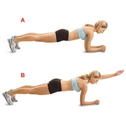 Planks with arms