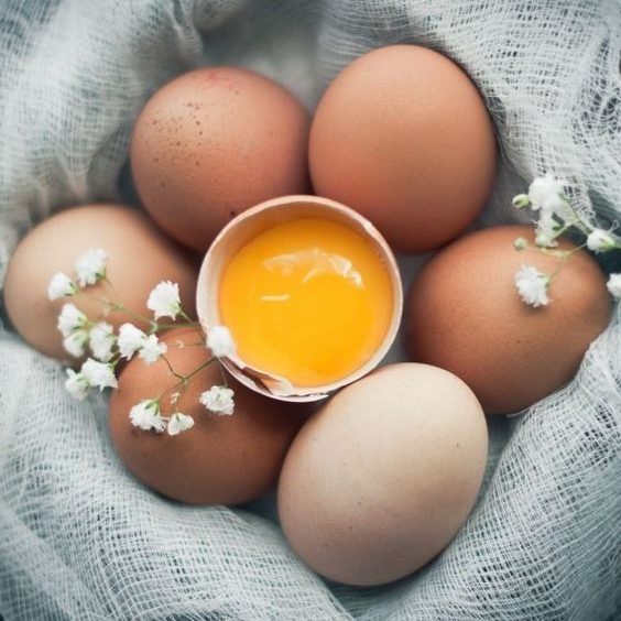 dưỡng ẩm da bằng trứng