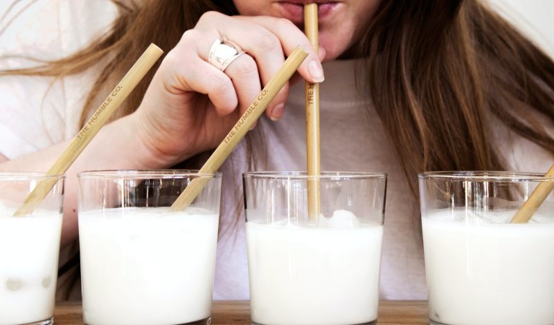 8 loại sữa hạt dinh dưỡng thay thế tốt nhất cho nàng nếu muốn từ bỏ sữa bò