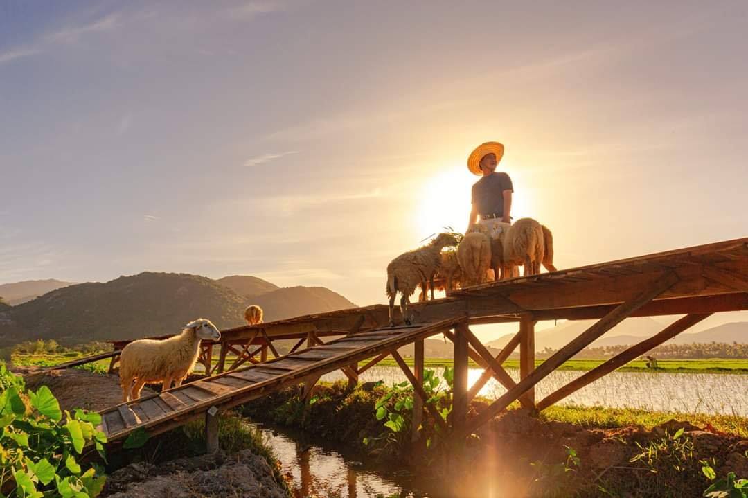Đồng cừu Suối Tiên - Tiểu Bali một m2 một cảnh đẹp