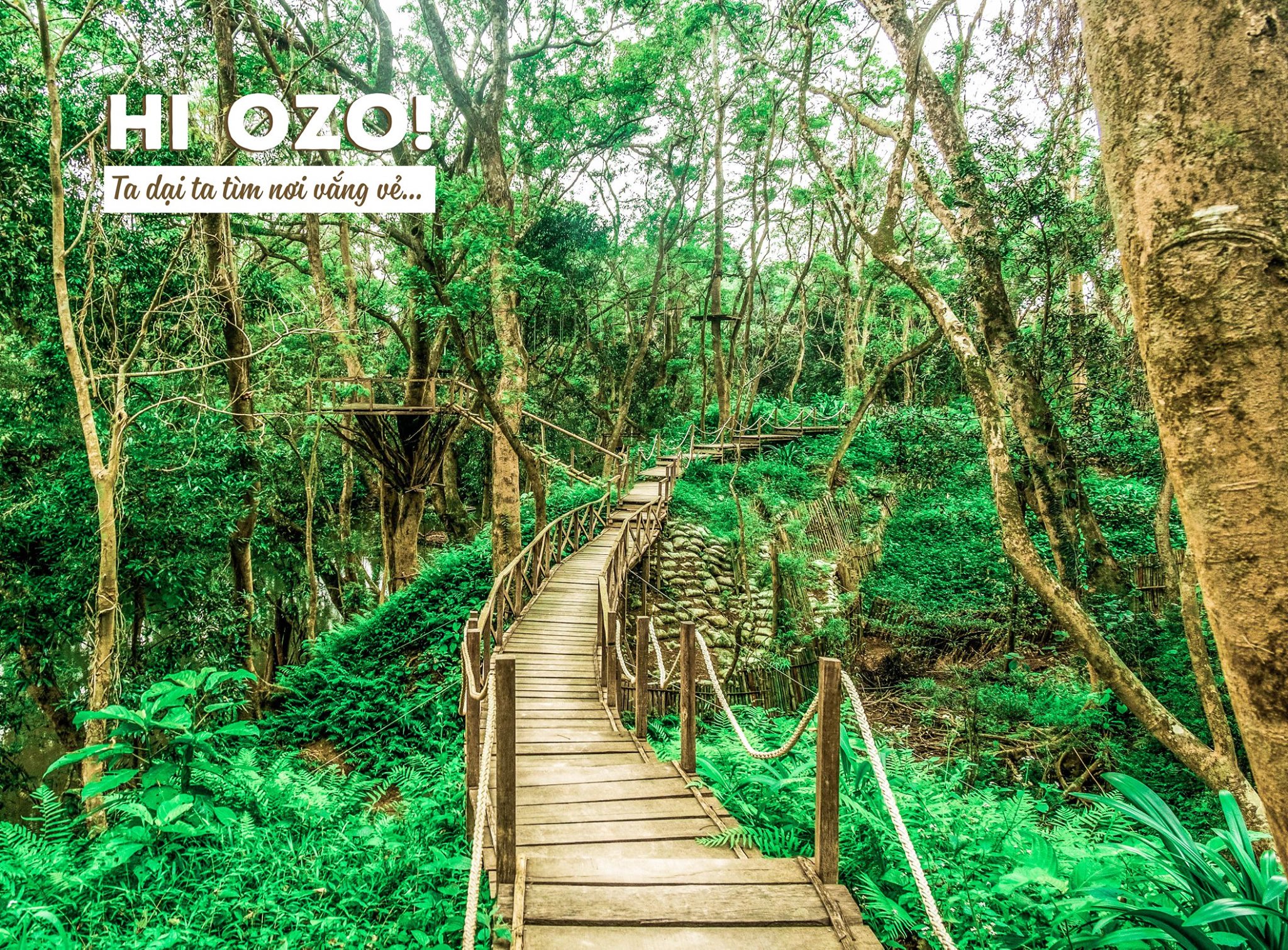 Tiểu Bali Ozo Treetop Park - Địa điểm tham quan với hệ sinh thái đa dạng tại Quảng Bình