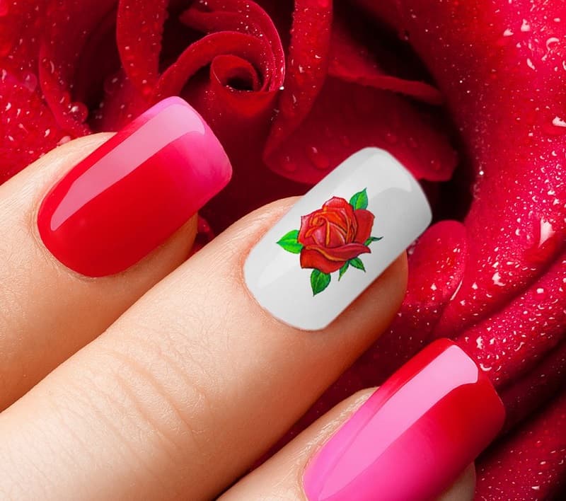 mẫu nail vẽ hoa đơn giản kiểu hoa hồng