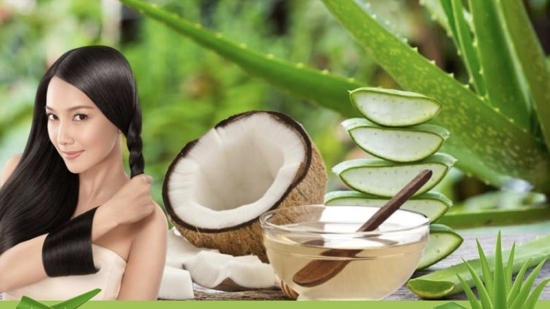 Cách dưỡng tóc bằng dầu dừa và nha đam