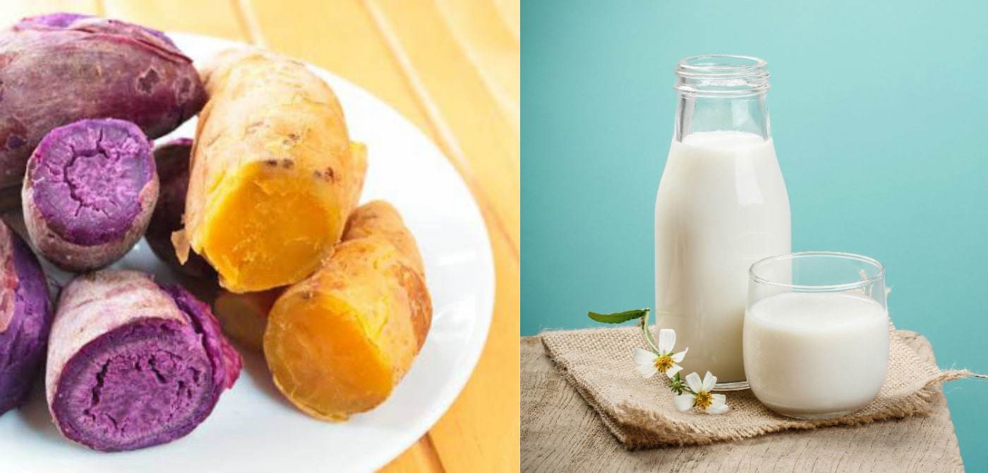 cách ăn khoai lang giảm cân với sữa tươi không đường