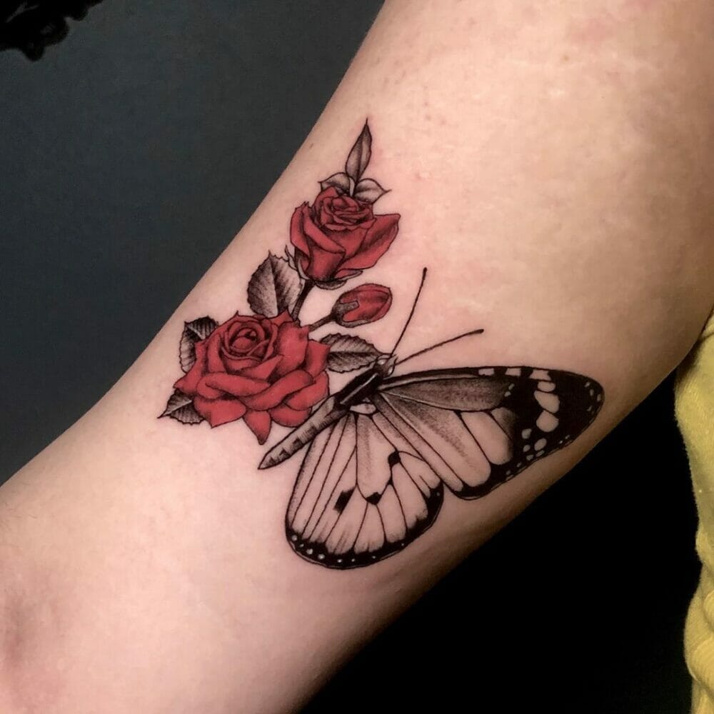 Hình xăm hoa hồng đỏ ở bắp tay cho nữ  Tattoo Gà
