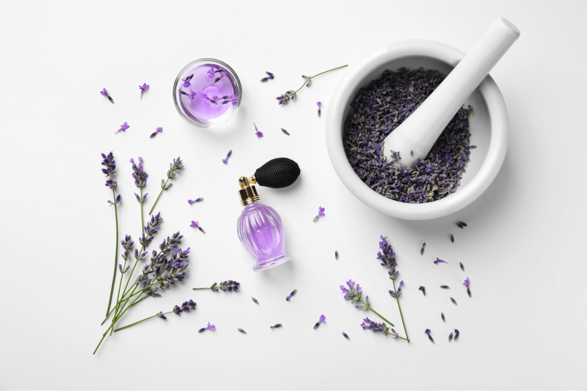 Đôi nét về nước hoa Lavender